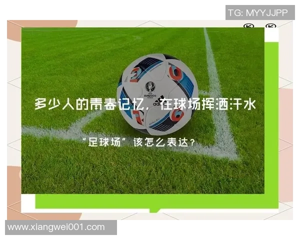 足球英文s的魅力解析与实用技巧分享让你轻松掌握足球语言的精髓